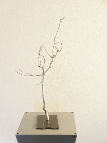 Unikater Deko Baum Silber auf Eisenplatte   10
